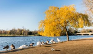 Read more about the article The Ultimate List of Things to Do in London as Muslim Travelers